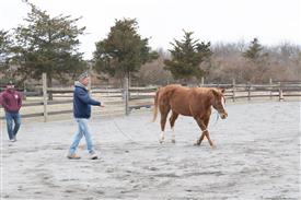 LR-2025-03-15 Retreat-1410